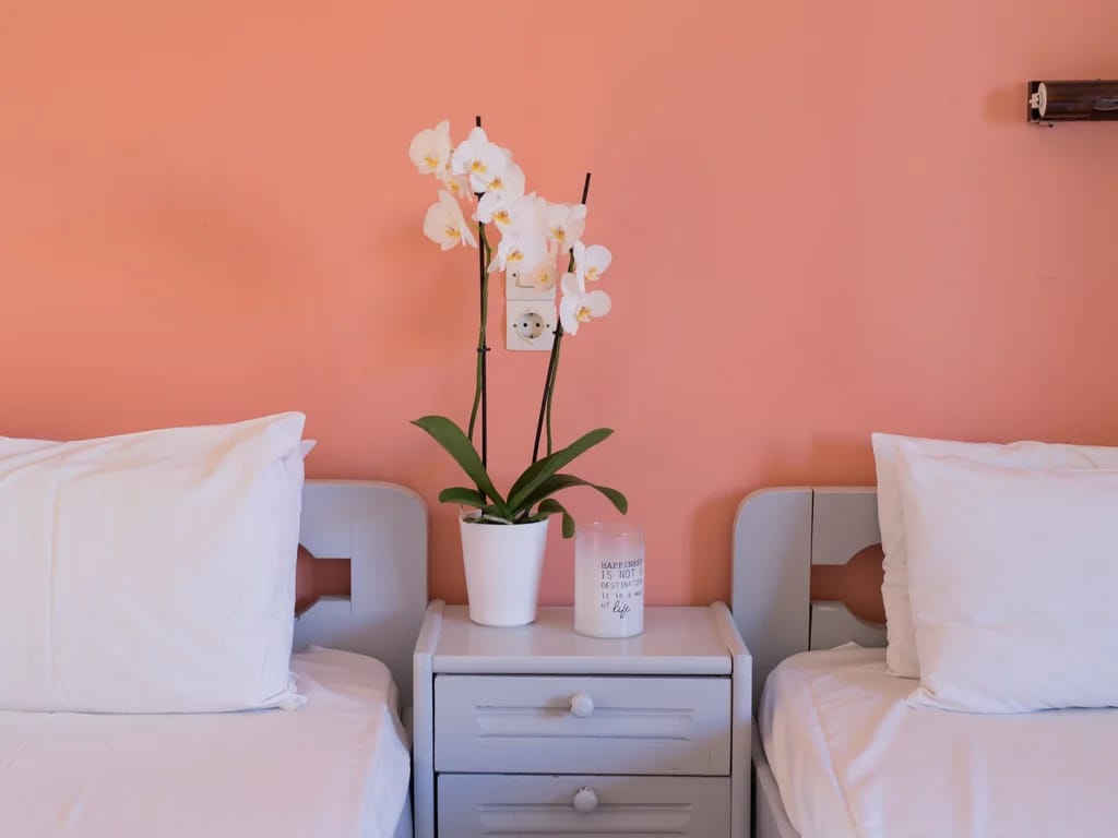 SOCRATES STUDIOS - Image 8